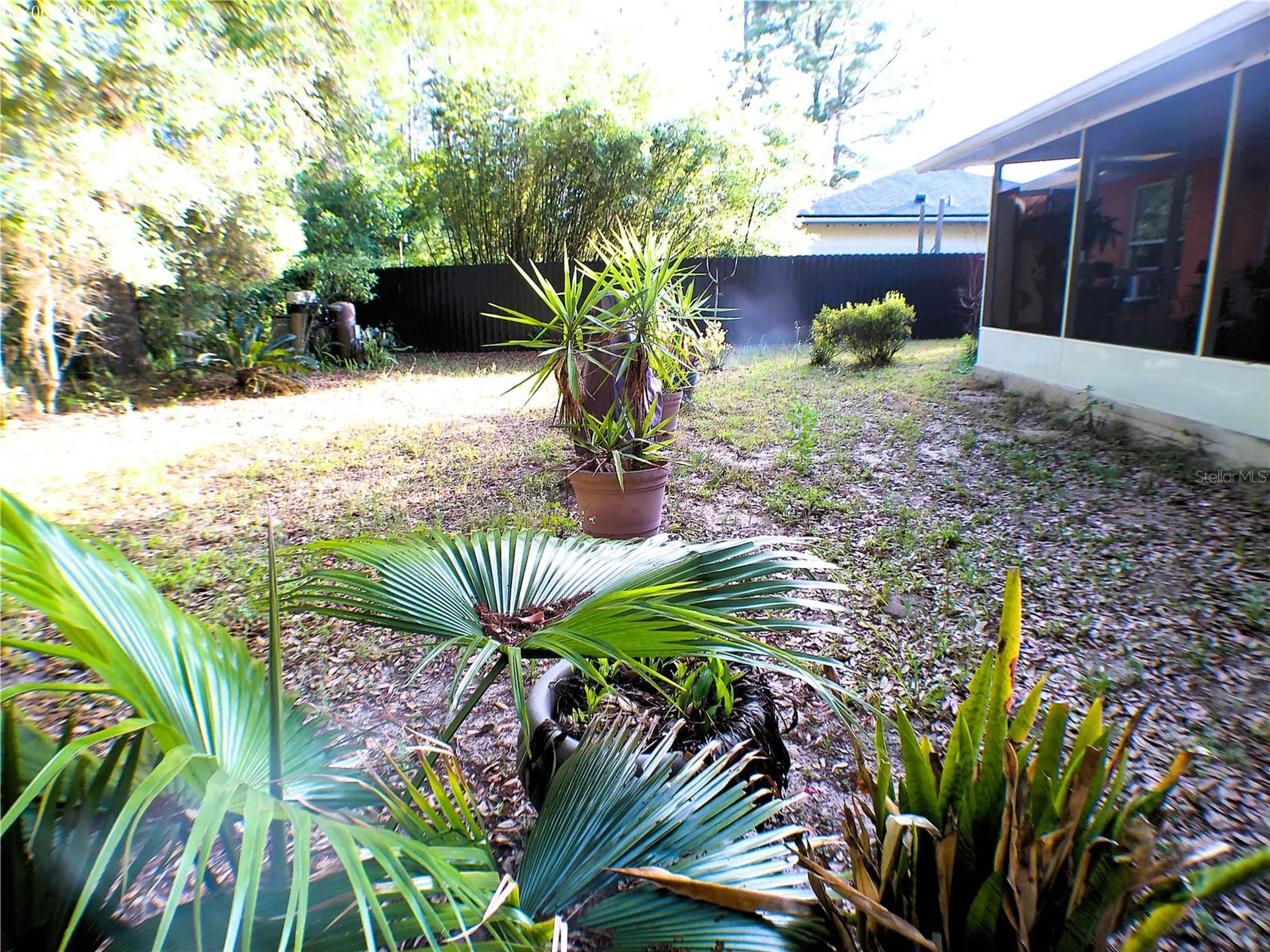 10 Sequoia Drive Trace Ocklawaha FL 32179