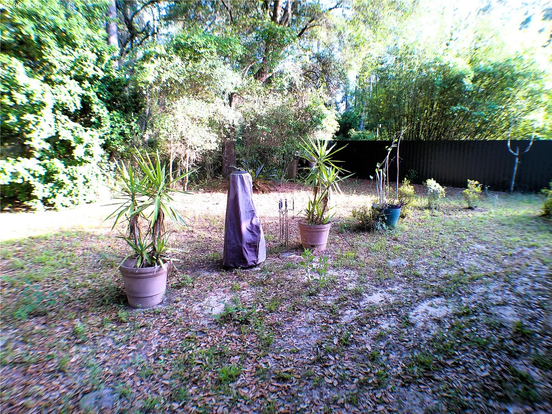 10 Sequoia Drive Trace Ocklawaha FL 32179