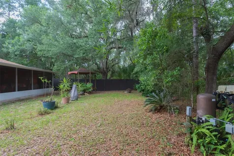10 Sequoia Drive Trace Ocklawaha FL 32179