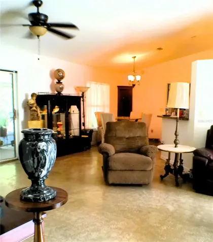 10 Sequoia Drive Trace Ocklawaha FL 32179