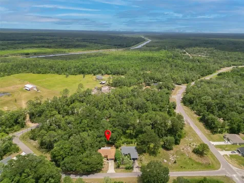 10 Sequoia Drive Trace Ocklawaha FL 32179