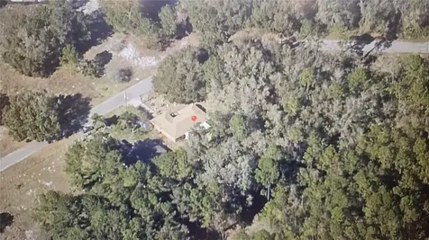 10 Sequoia Drive Trace Ocklawaha FL 32179