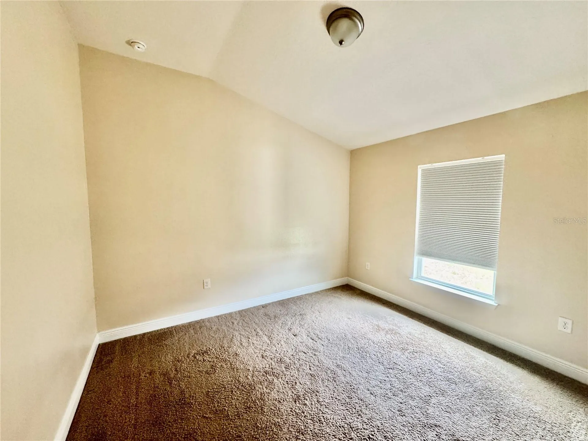 906 Chestnut Drive Fruitland Park FL 34731