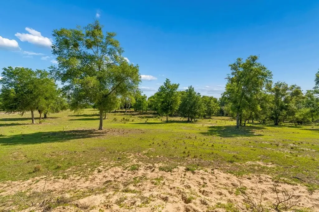 31501 Reed Road Dade City FL 33523