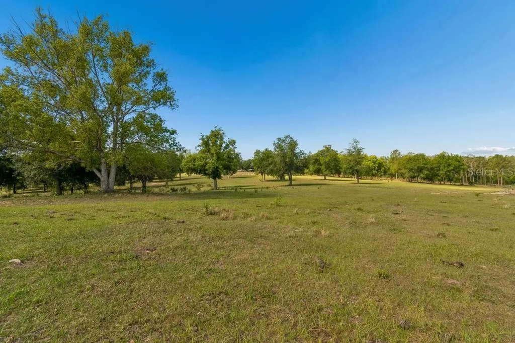 31501 Reed Road Dade City FL 33523