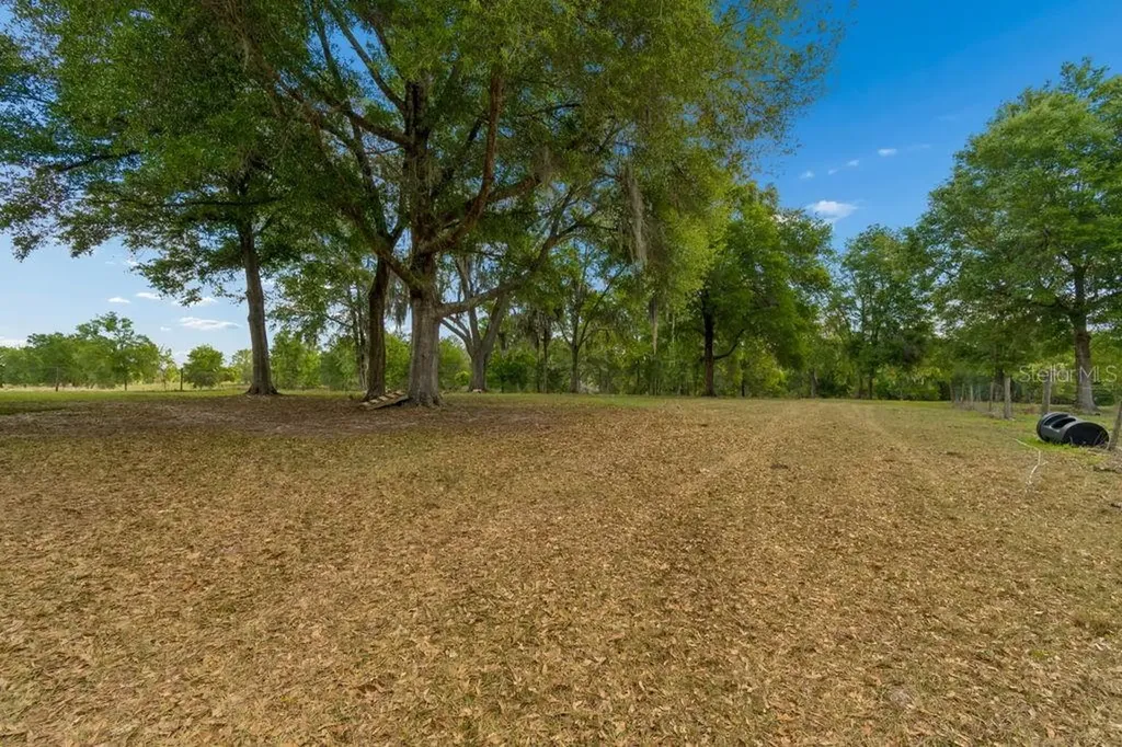 31501 Reed Road Dade City FL 33523