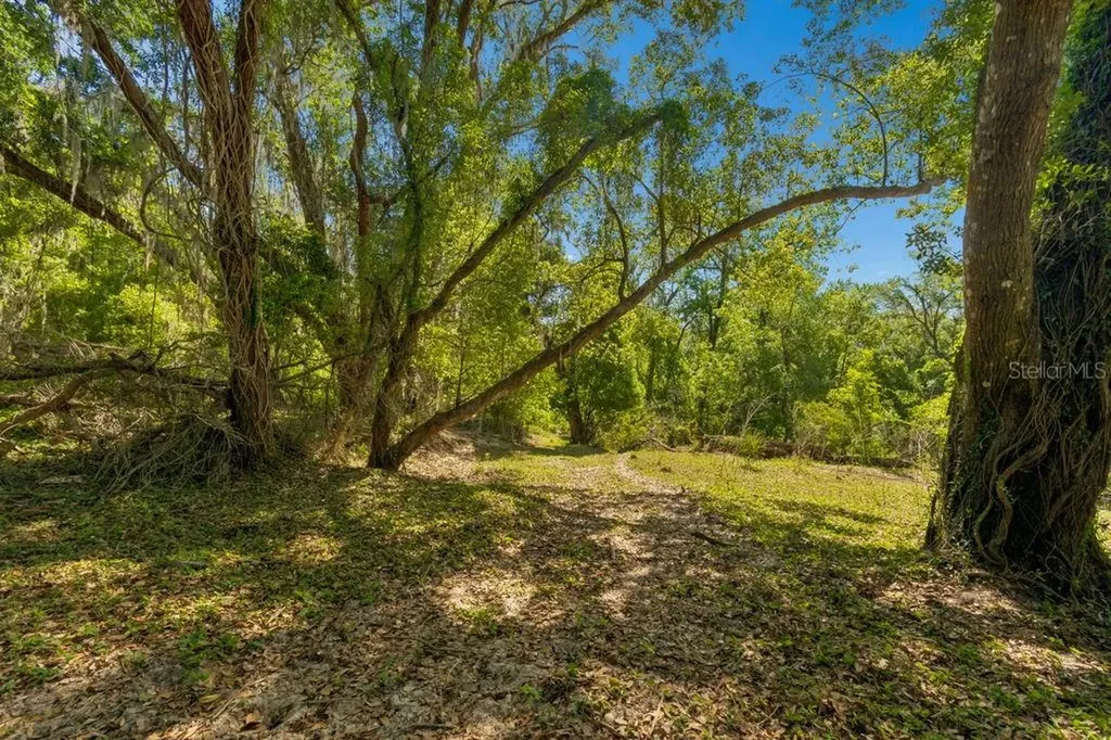 31501 Reed Road Dade City FL 33523