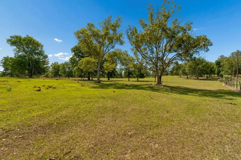 31501 Reed Road Dade City FL 33523