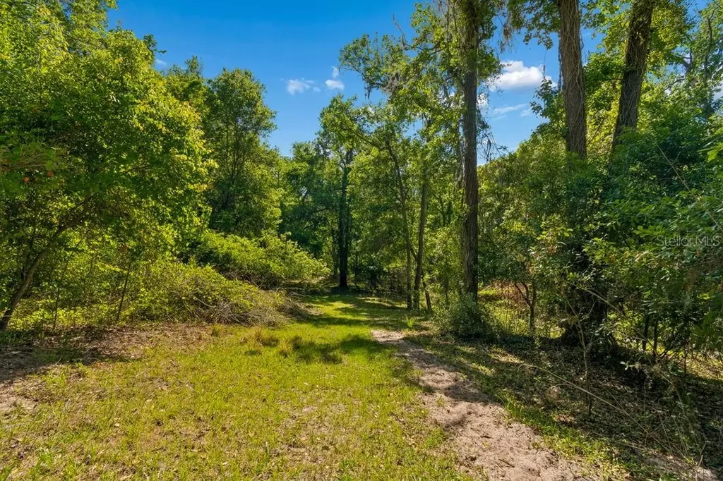 31501 Reed Road Dade City FL 33523