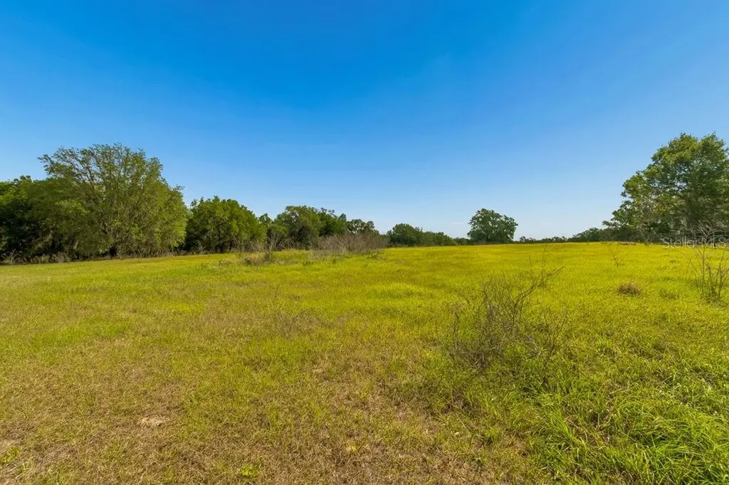 31501 Reed Road Dade City FL 33523