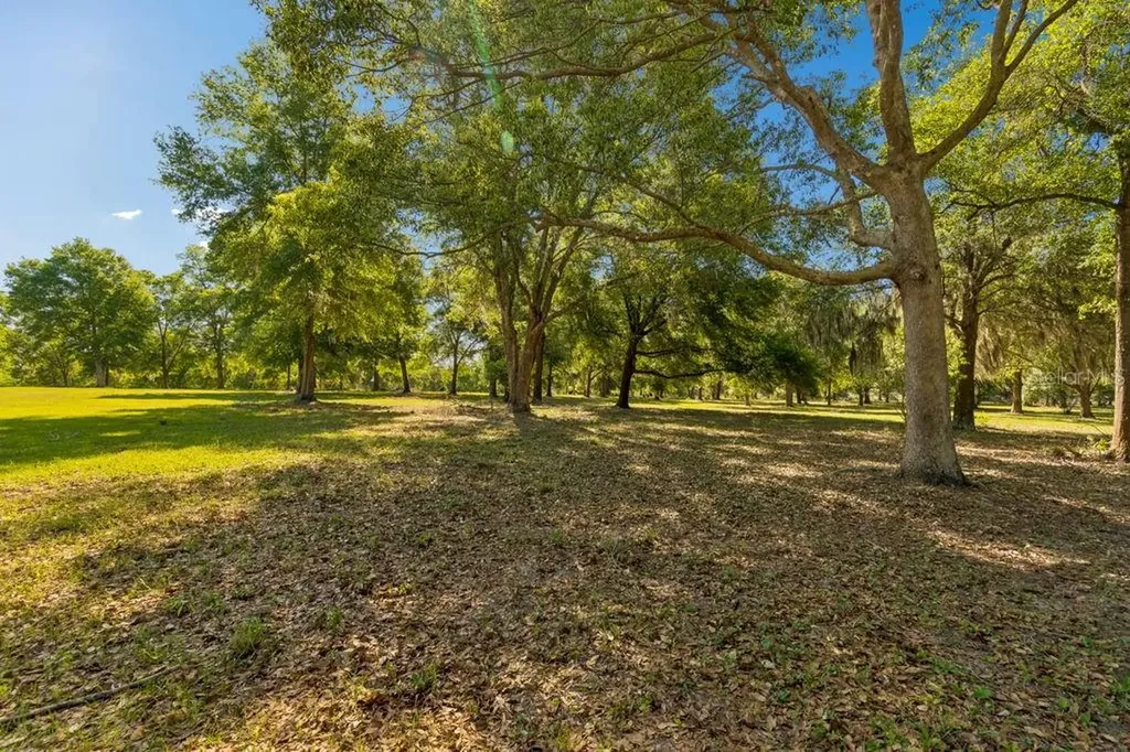 31501 Reed Road Dade City FL 33523