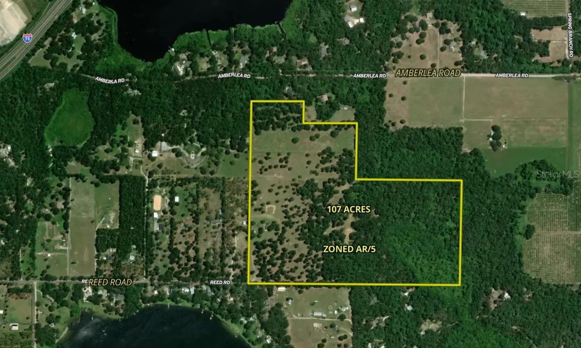 31501 Reed Road Dade City FL 33523