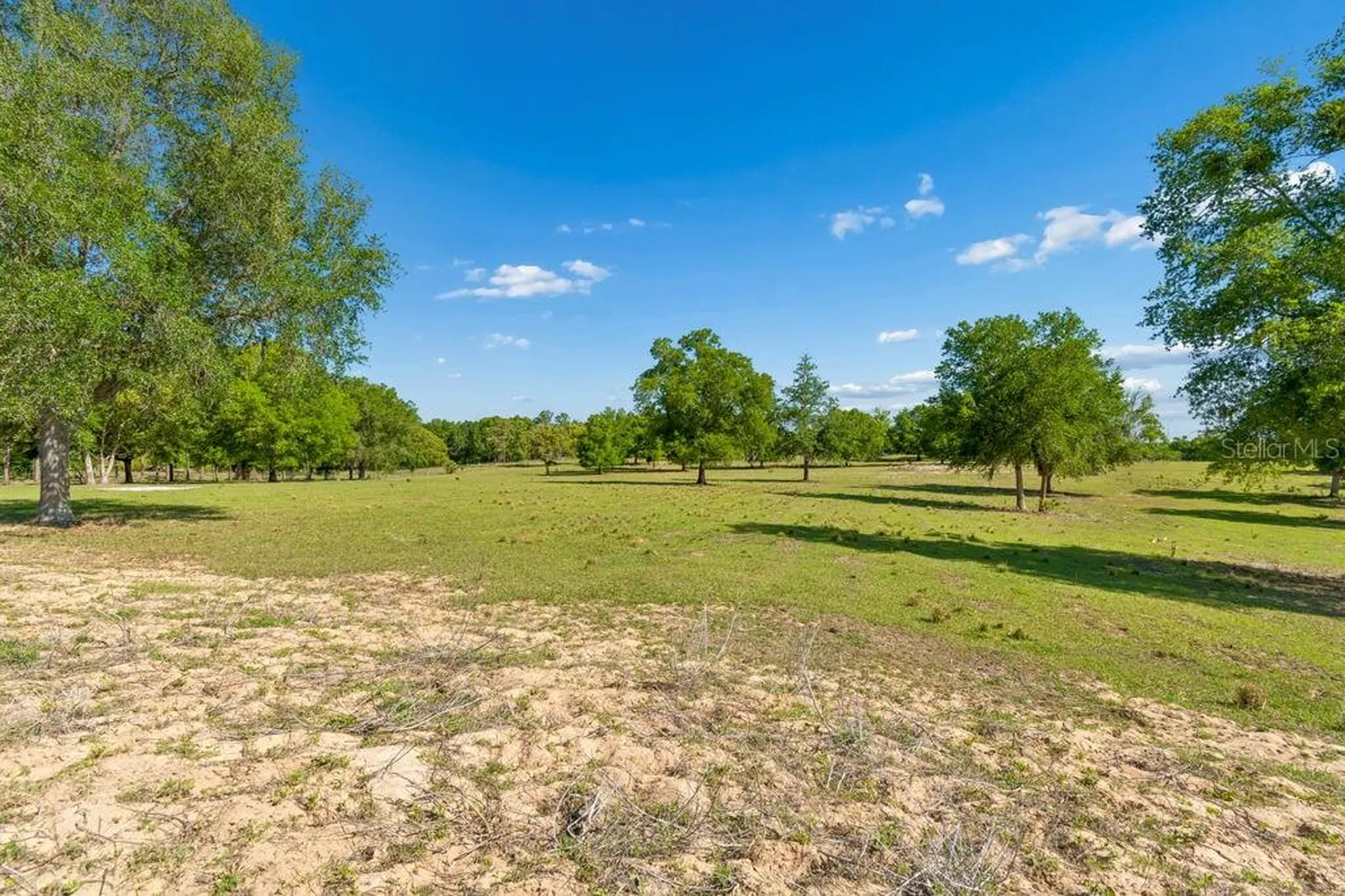 31501 Reed Road Dade City FL 33523