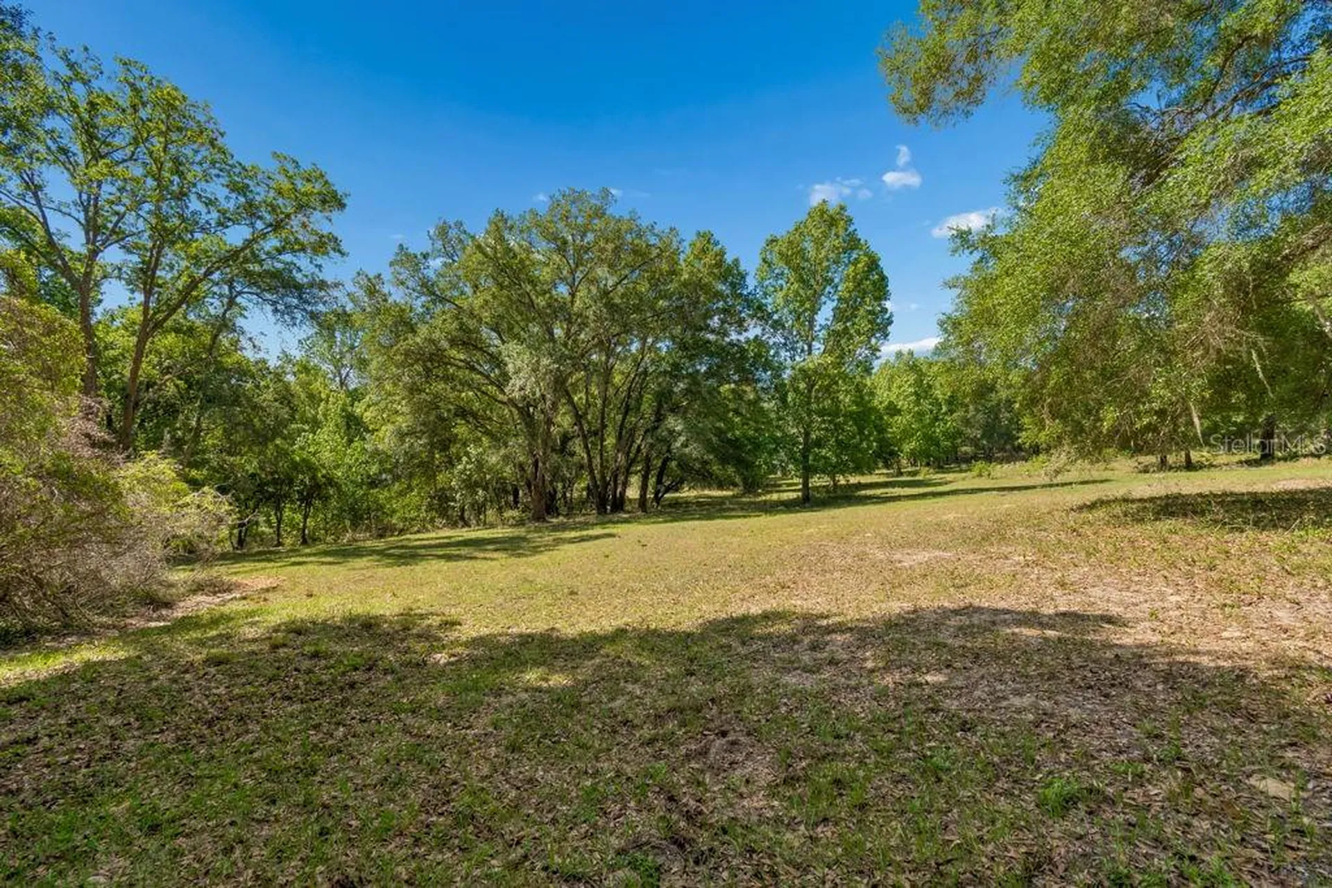 31501 Reed Road Dade City FL 33523