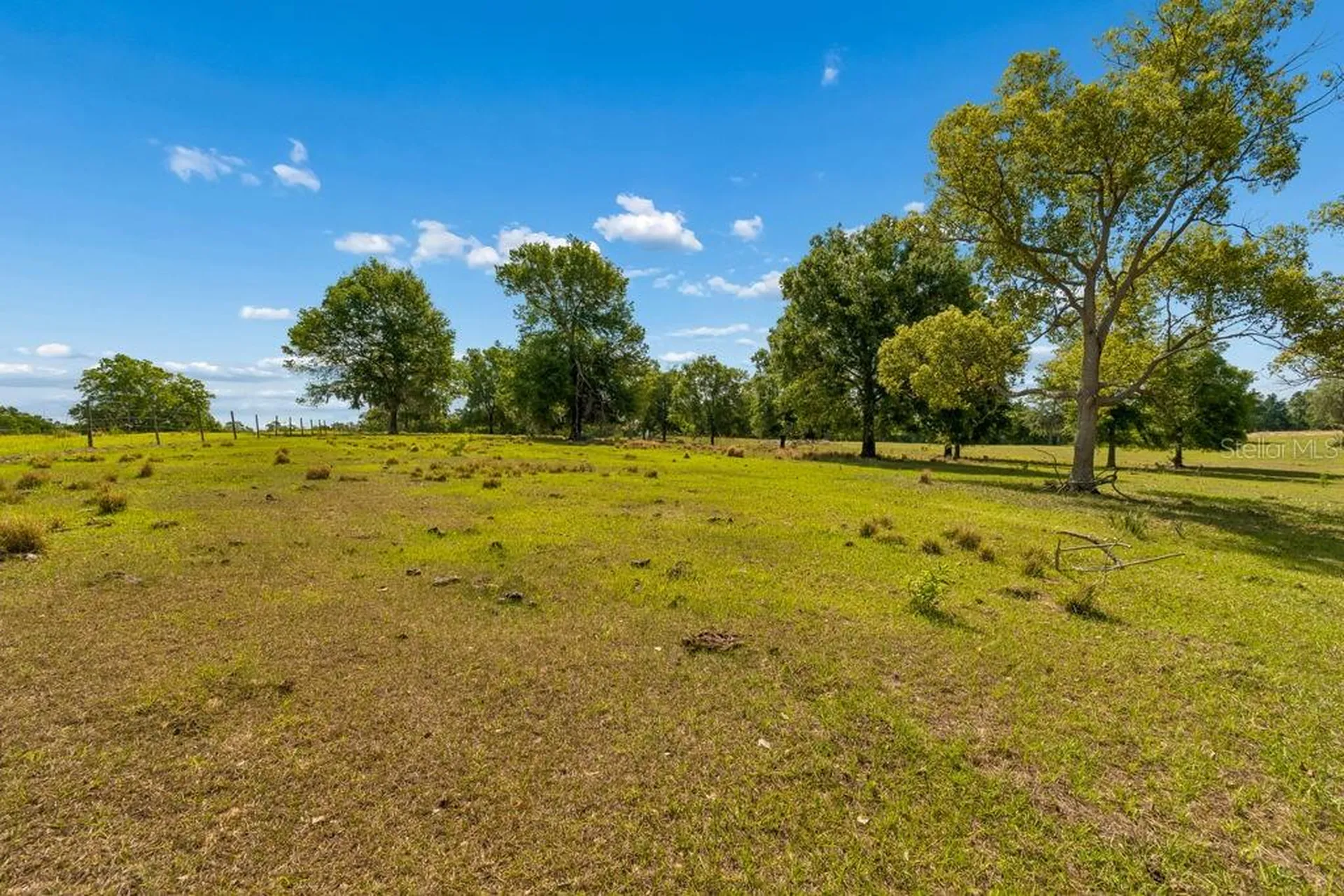 31501 Reed Road Dade City FL 33523