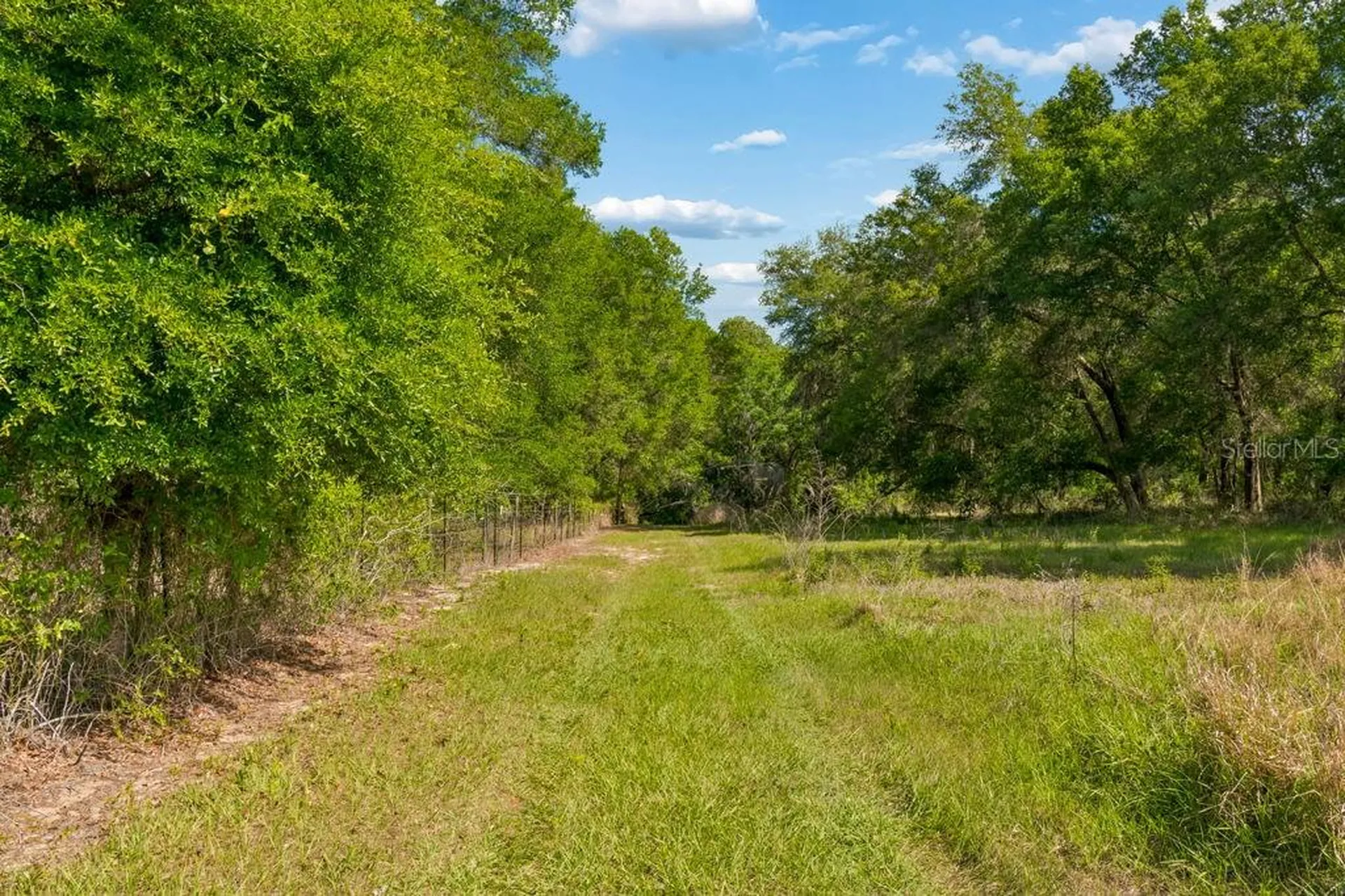 31501 Reed Road Dade City FL 33523