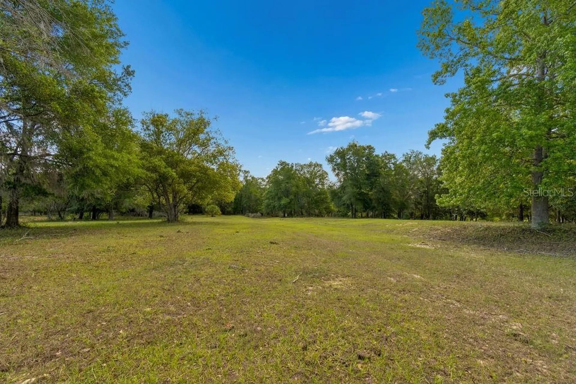 31501 Reed Road Dade City FL 33523
