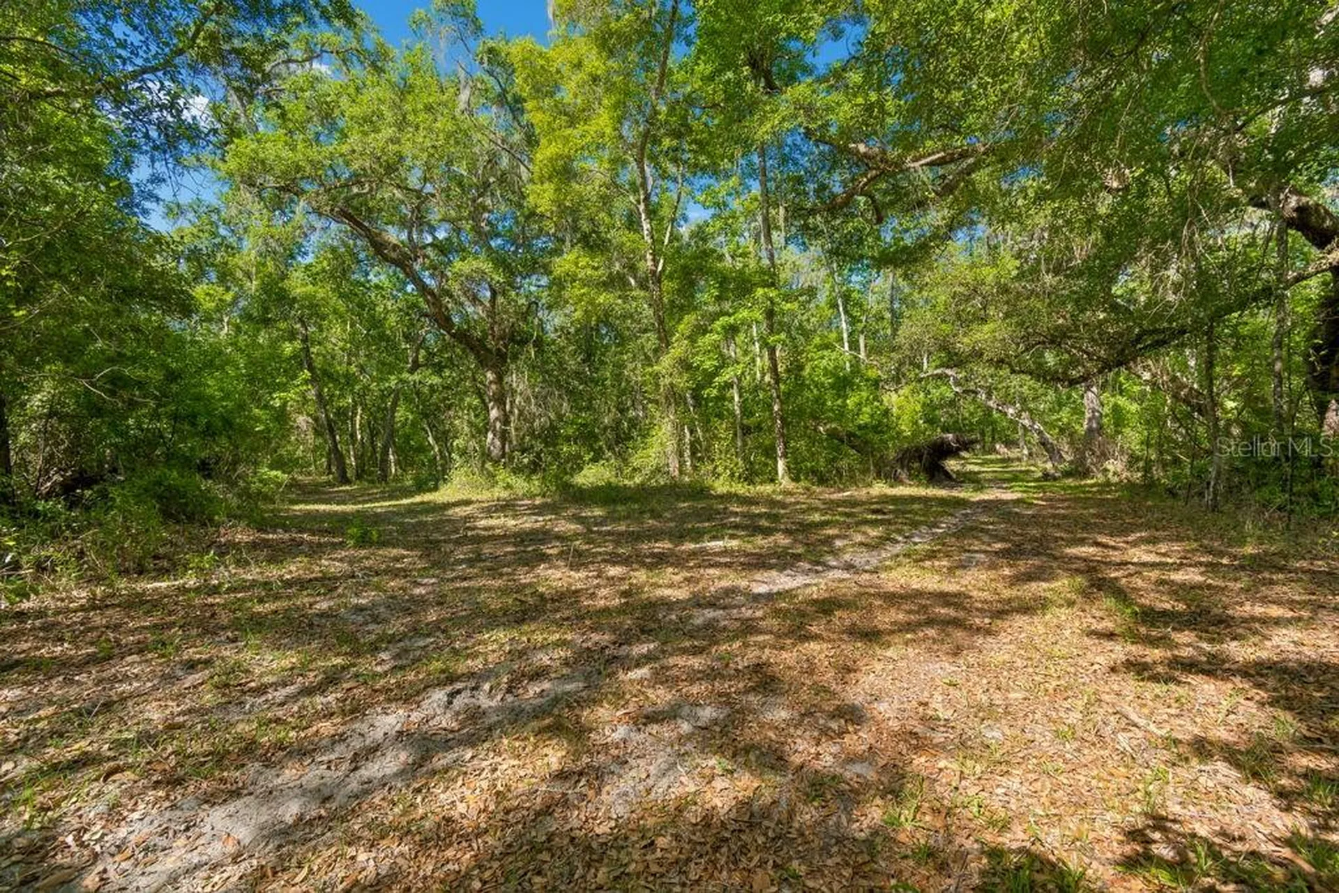 31501 Reed Road Dade City FL 33523