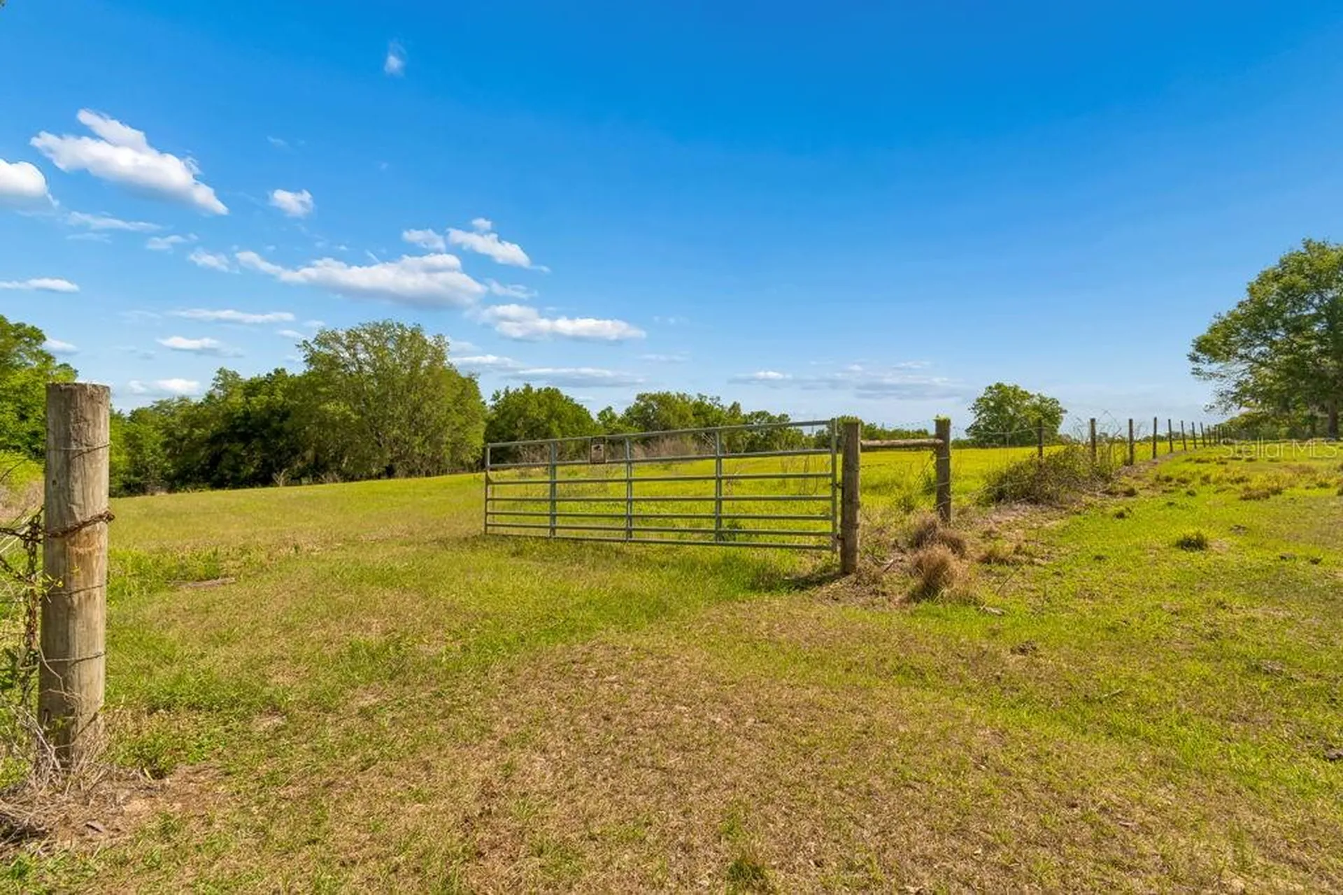 31501 Reed Road Dade City FL 33523