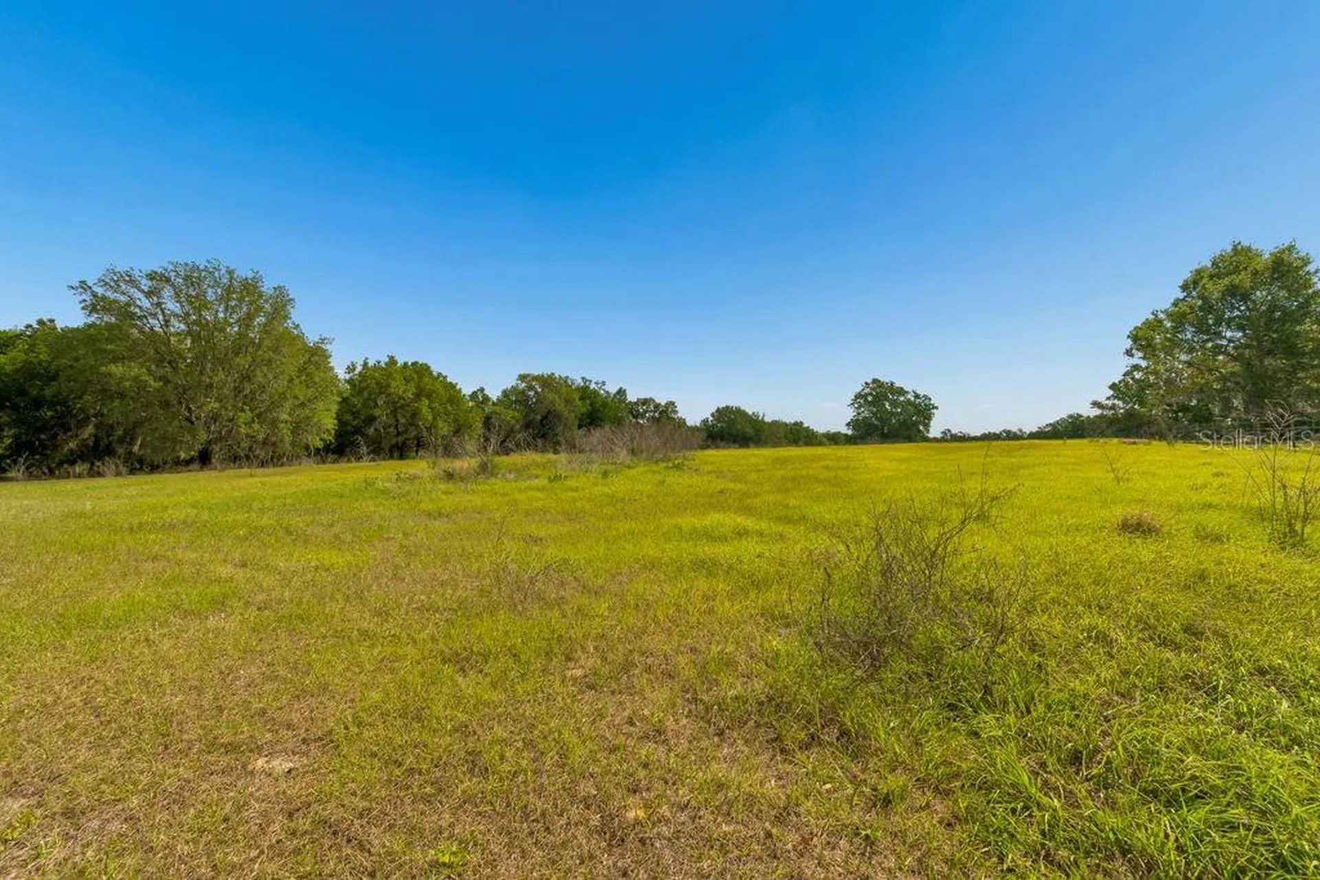 31501 Reed Road Dade City FL 33523