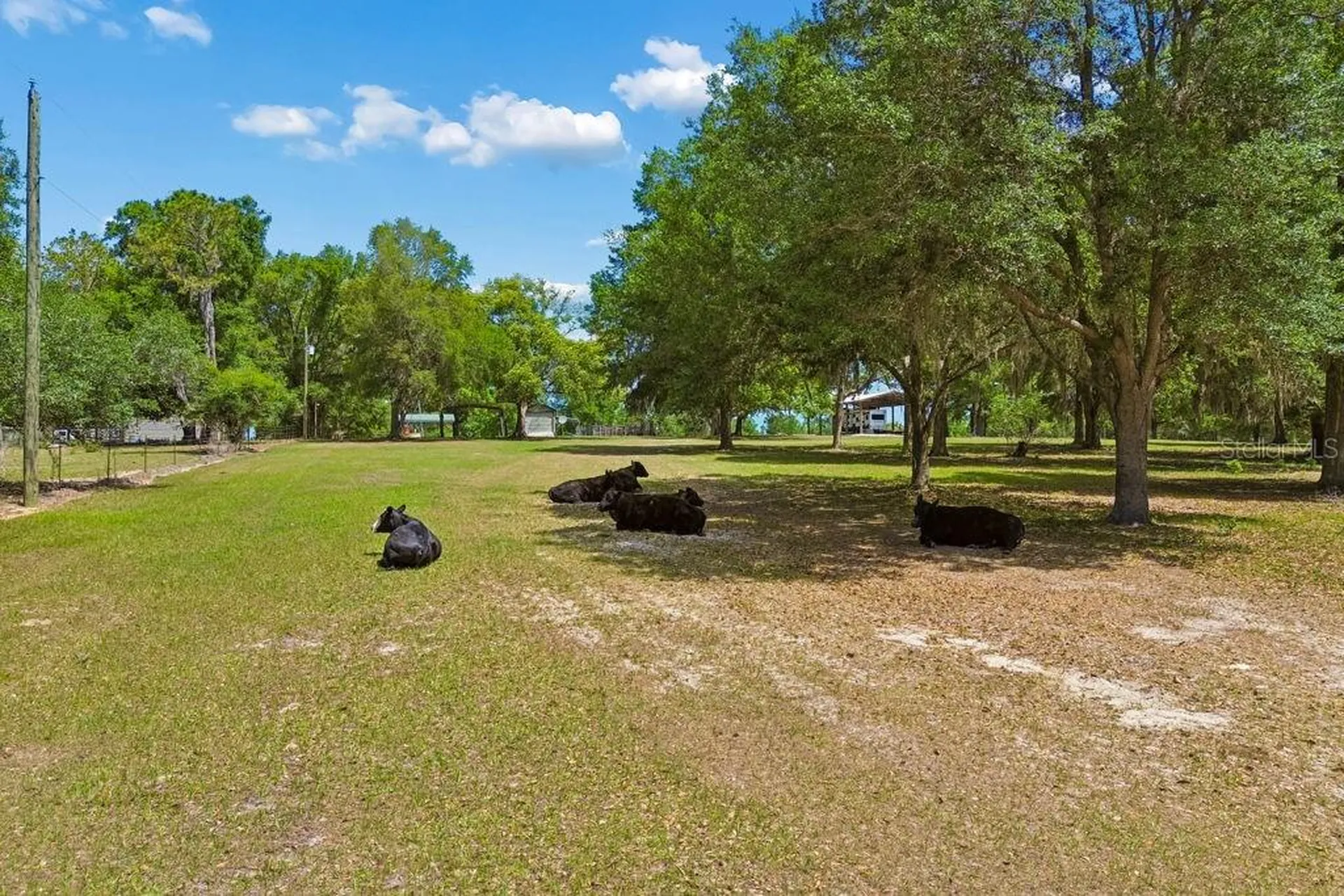 31501 Reed Road Dade City FL 33523