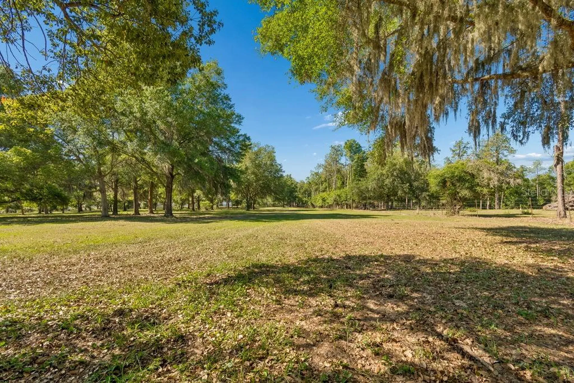 31501 Reed Road Dade City FL 33523
