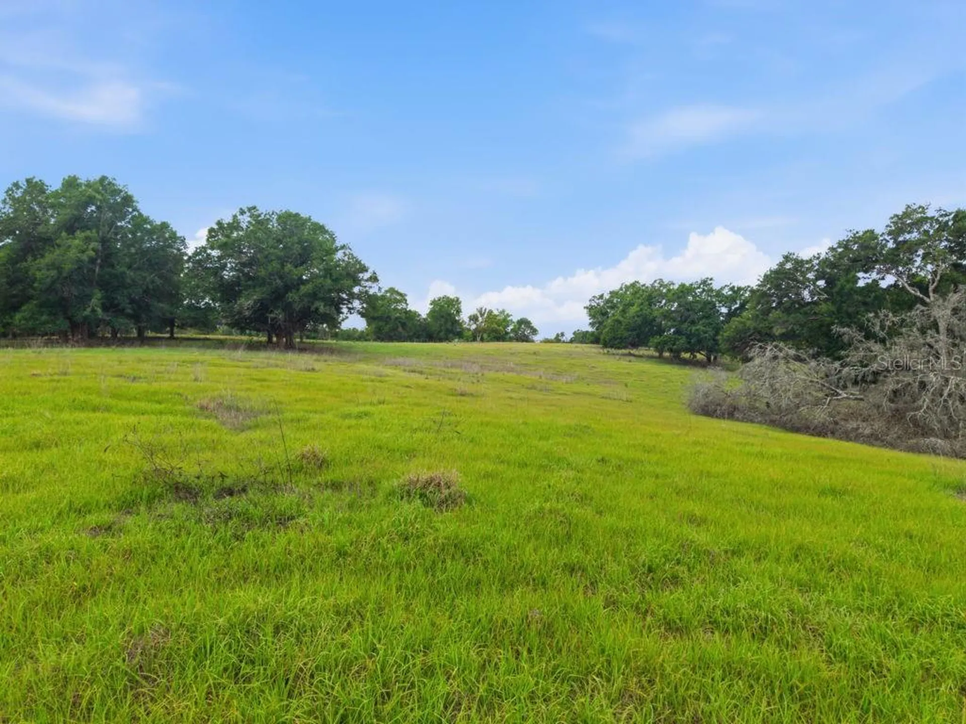 31501 Reed Road Dade City FL 33523