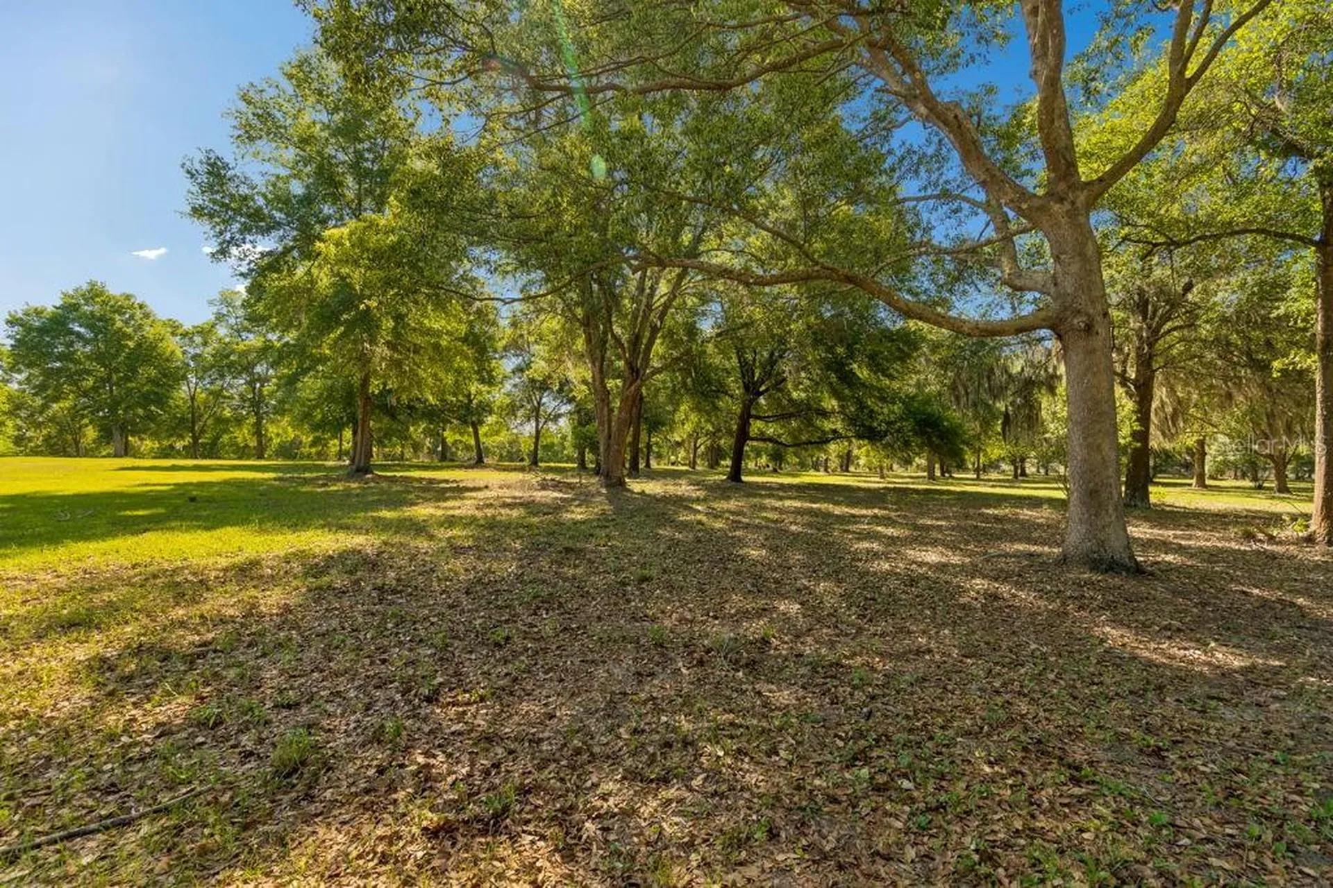 31501 Reed Road Dade City FL 33523