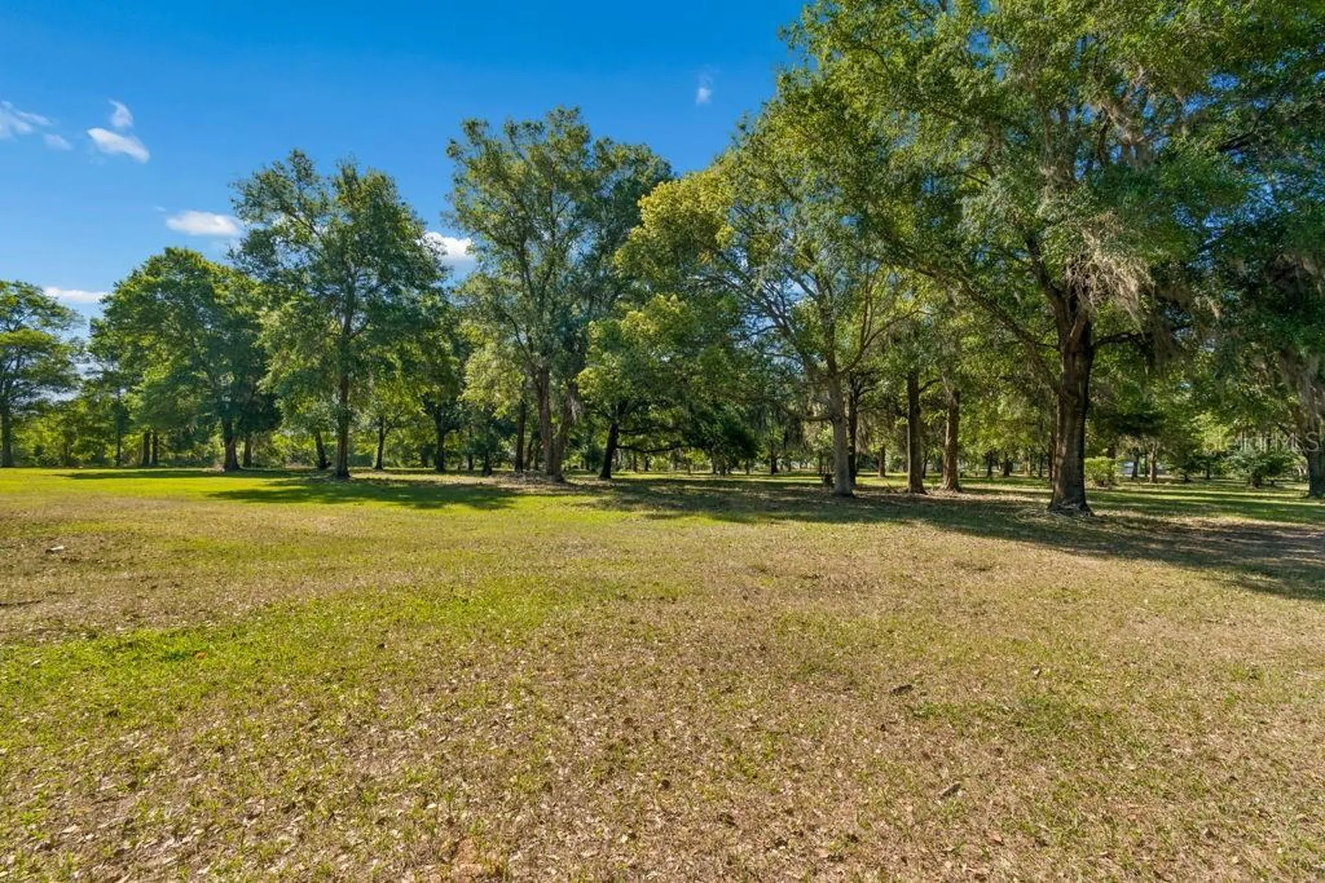 31501 Reed Road Dade City FL 33523