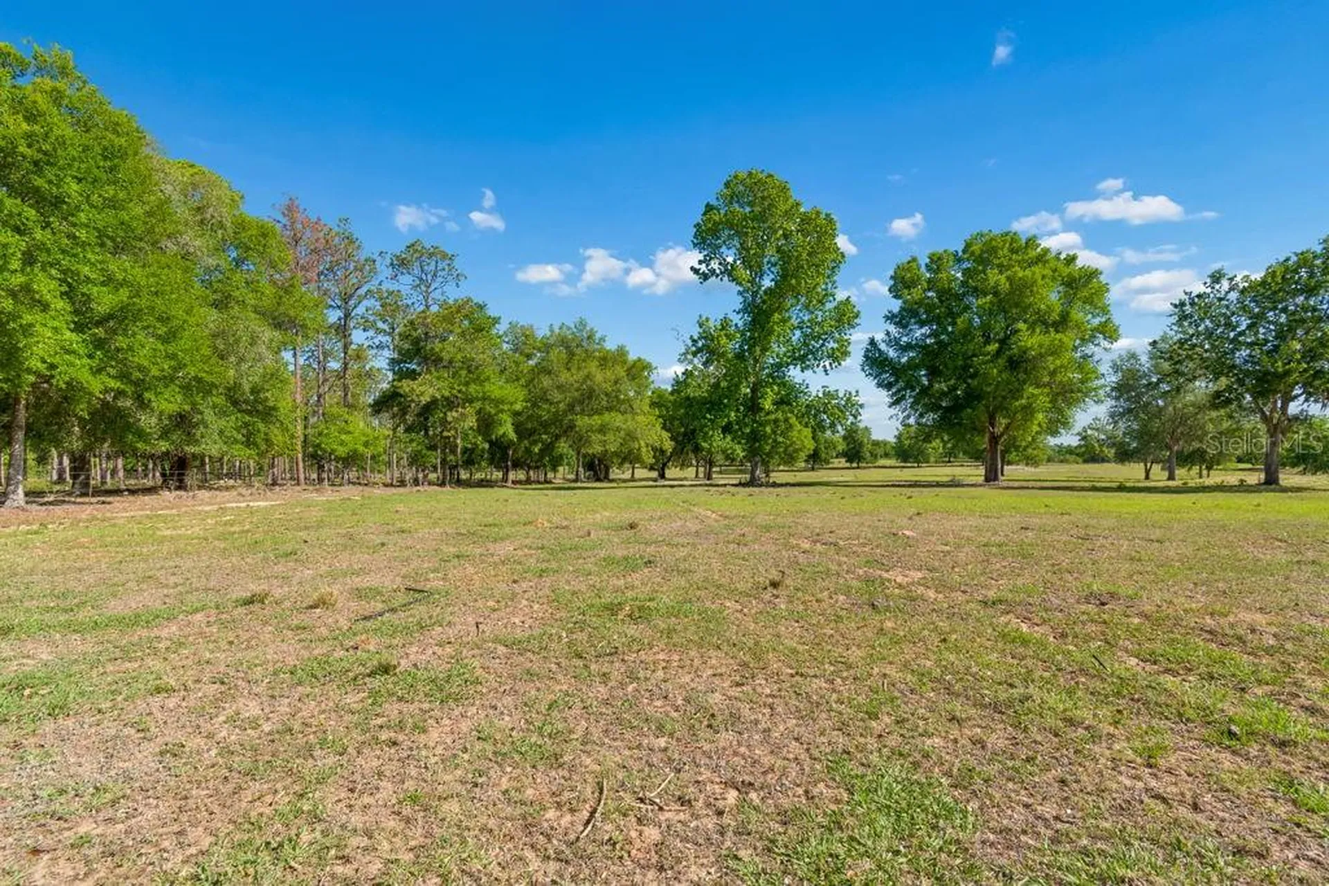 31501 Reed Road Dade City FL 33523