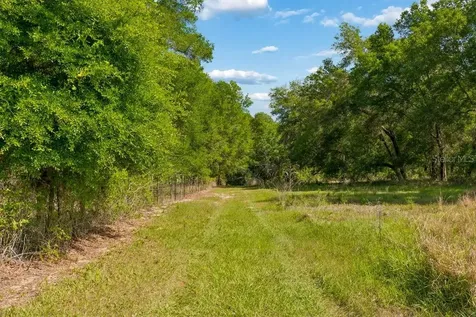 31501 Reed Road Dade City FL 33523