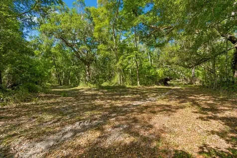31501 Reed Road Dade City FL 33523