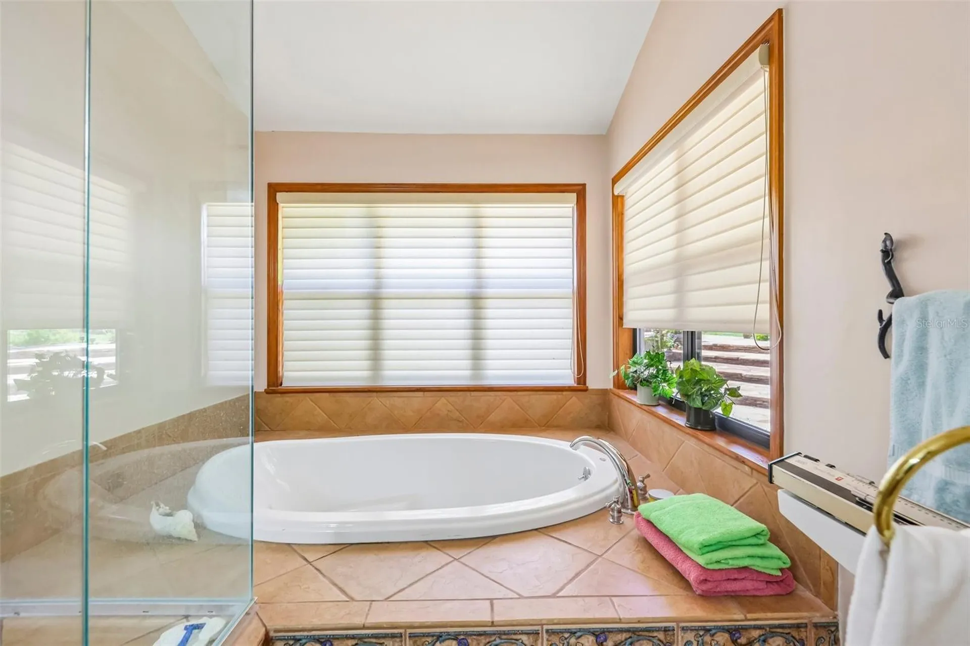 35841 Timbertop Lane Fruitland Park FL 34731