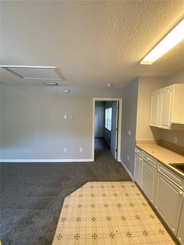 613 Coconut Palm Way Davenport FL 33897