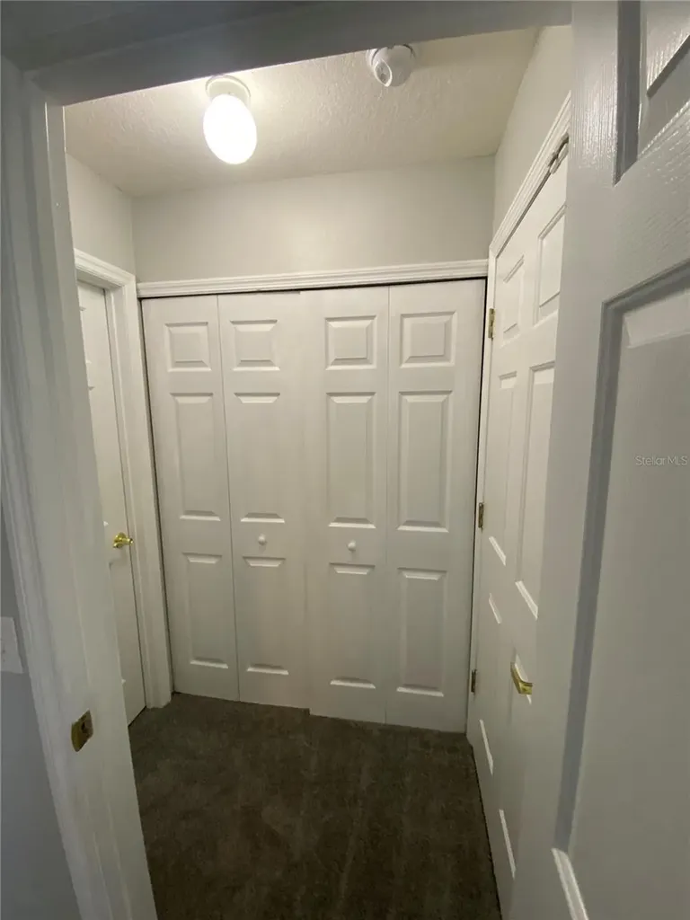 613 Coconut Palm Way Davenport FL 33897