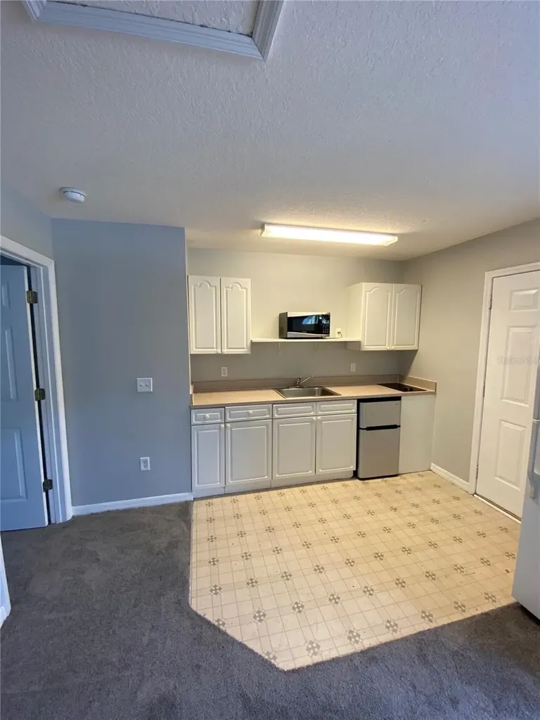 613 Coconut Palm Way Davenport FL 33897