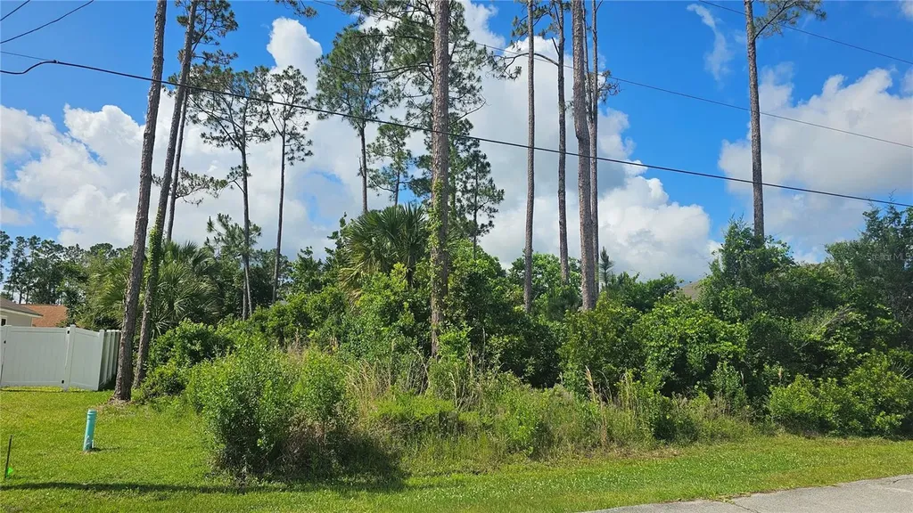 13 Robin Hood Lane Palm Coast FL 32164