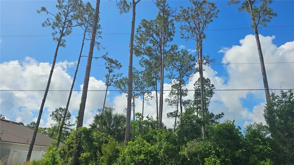 13 Robin Hood Lane Palm Coast FL 32164