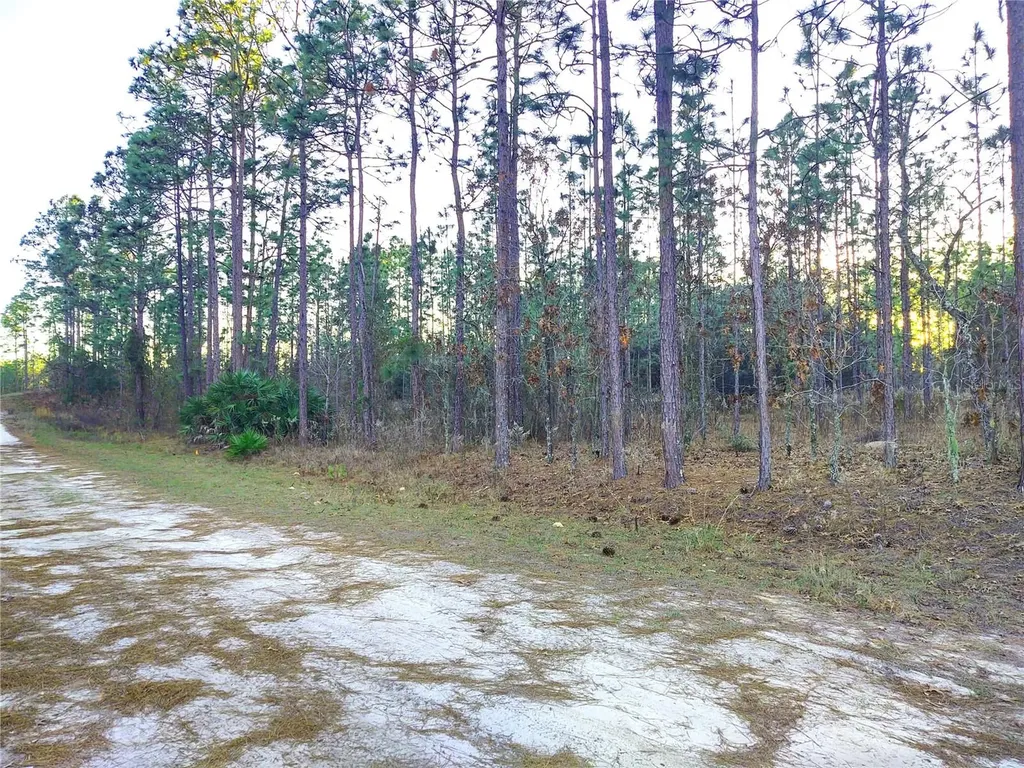 5980 SW 127th Avenue Road Ocala FL 34481