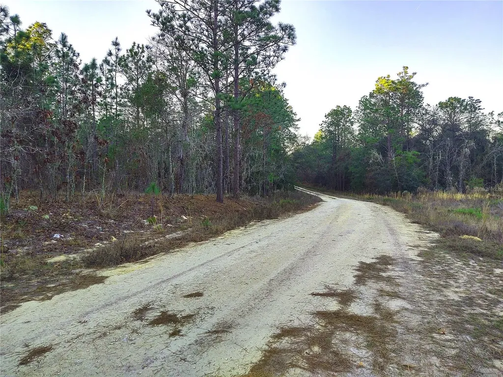 5980 SW 127th Ave Road Ocala FL 34481
