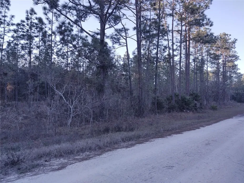5980 SW 127th Avenue Road Ocala FL 34481