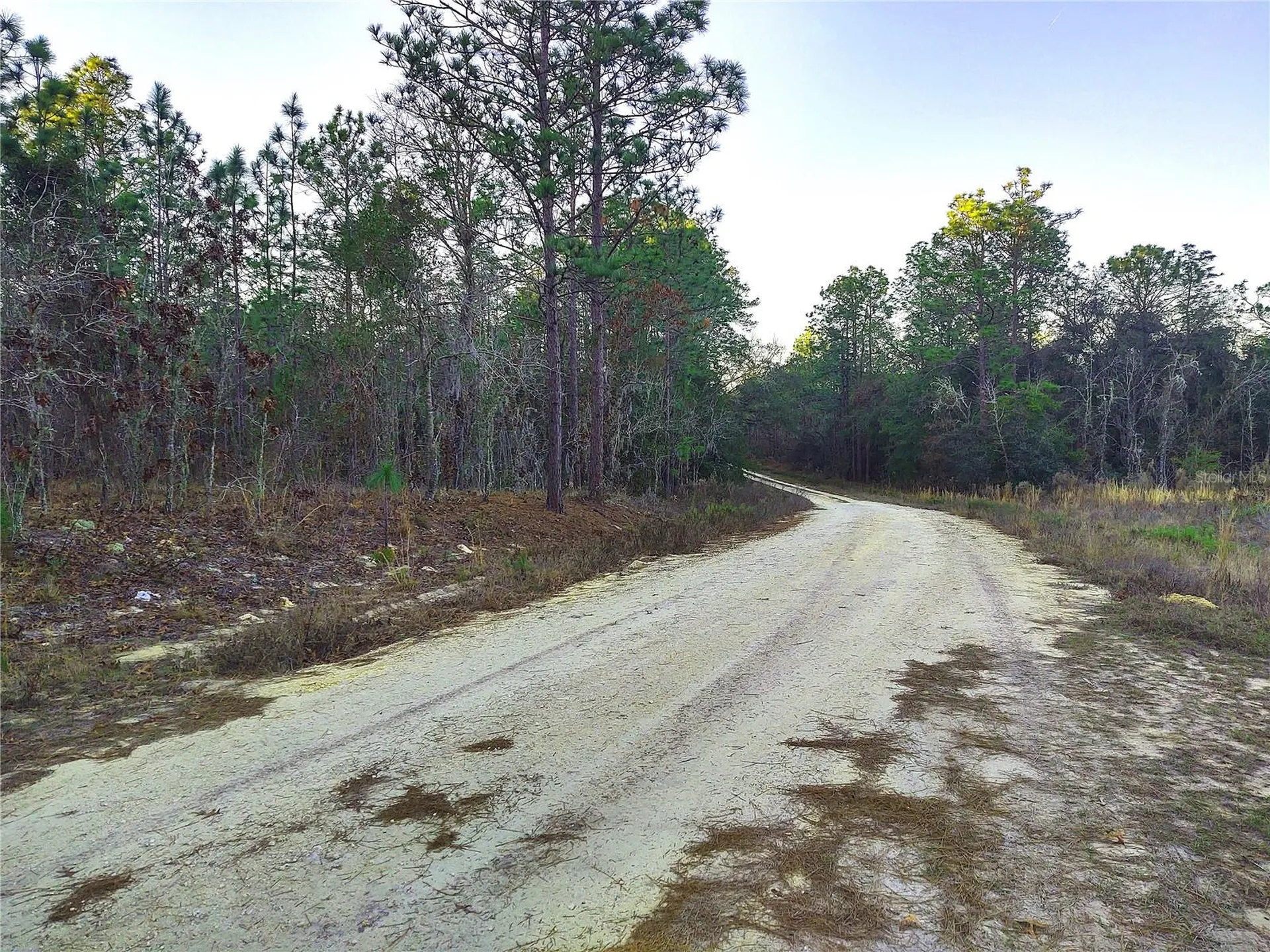 5980 SW 127th Avenue Road Ocala FL 34481