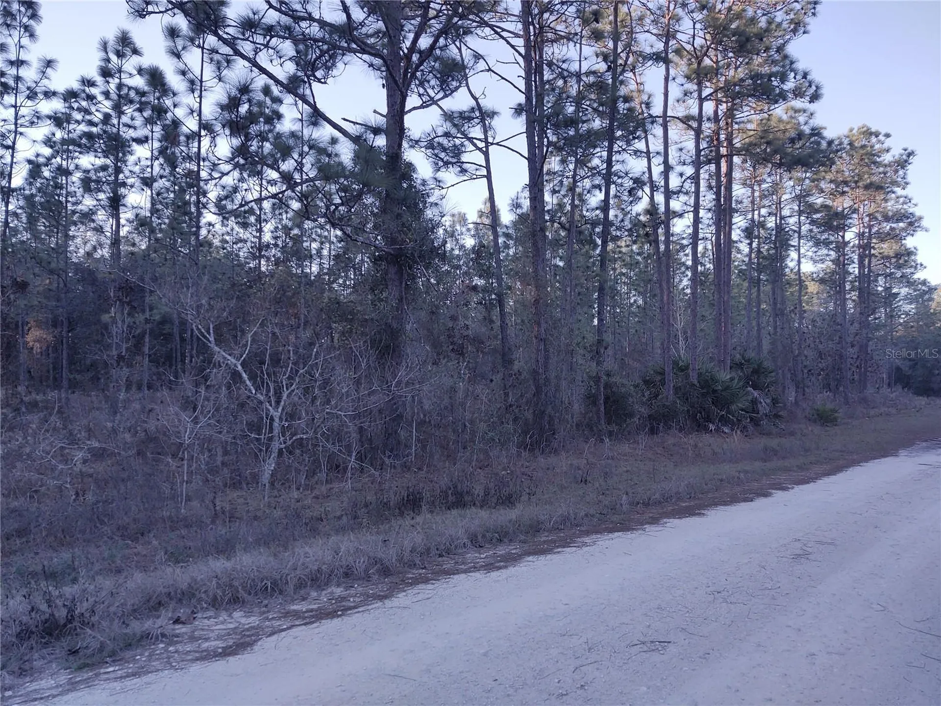 5980 SW 127th Avenue Road Ocala FL 34481