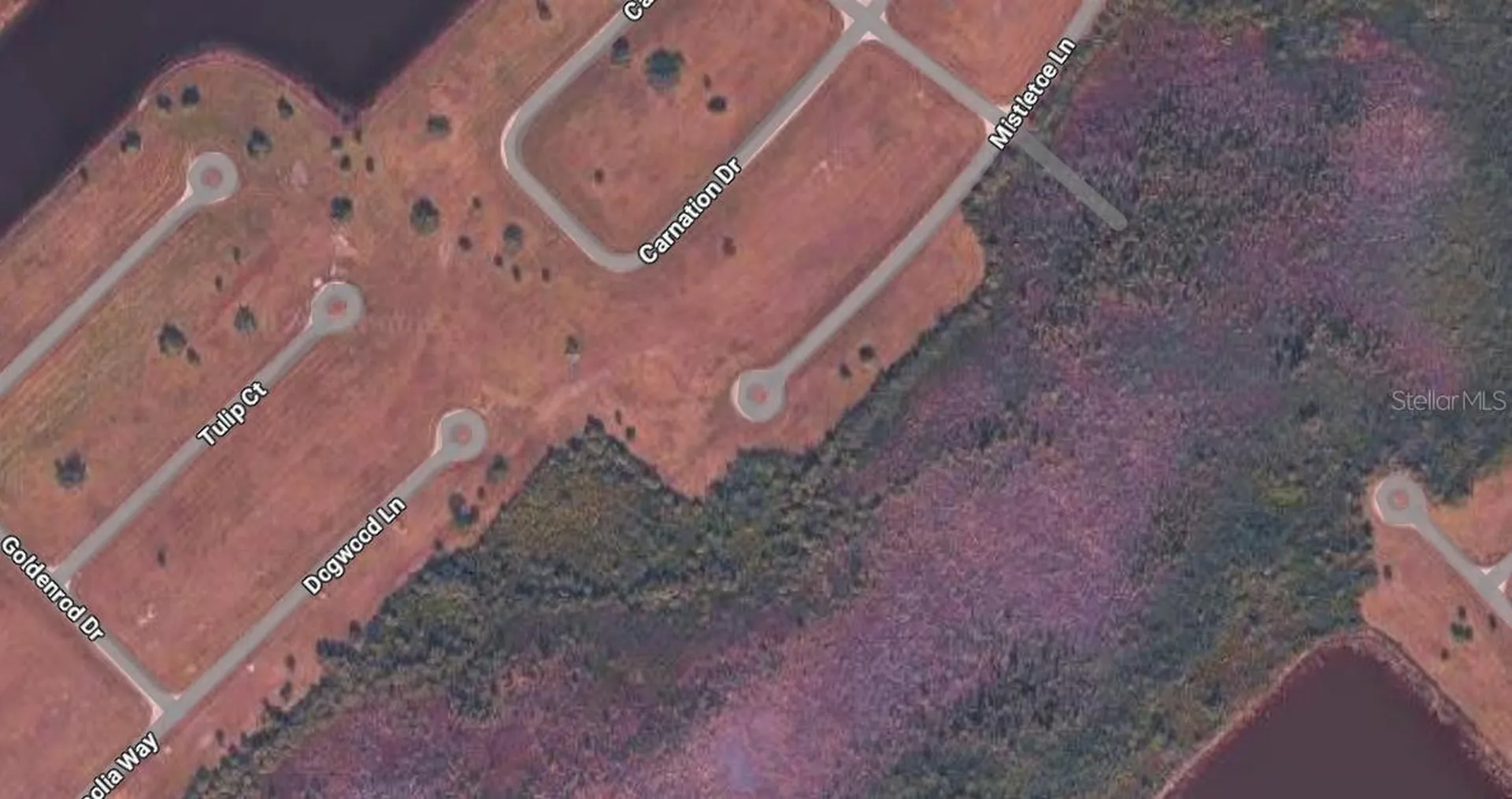 Placida FL 33946