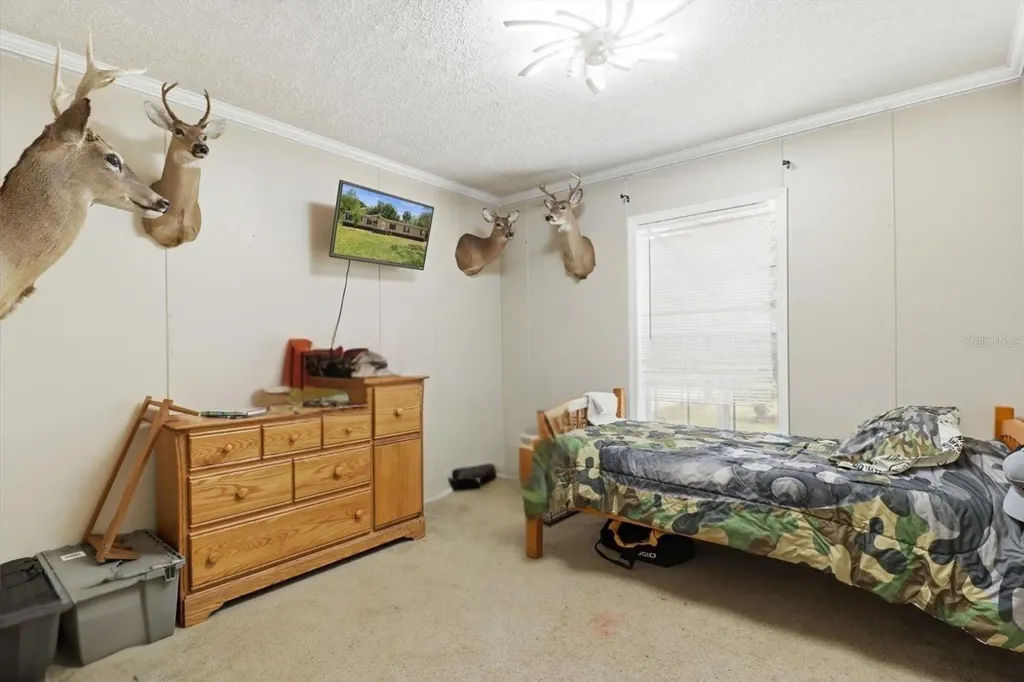 10382 W Killarney Street Crystal River FL 34428