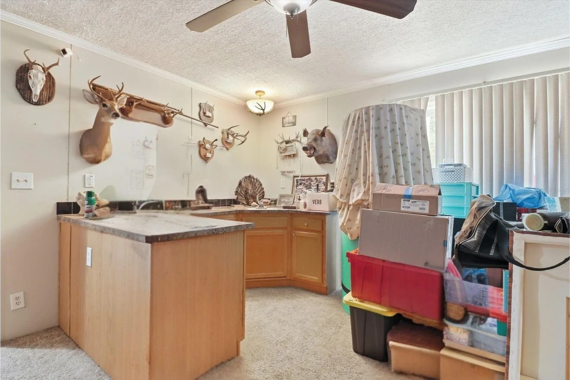10382 W Killarney Street Crystal River FL 34428