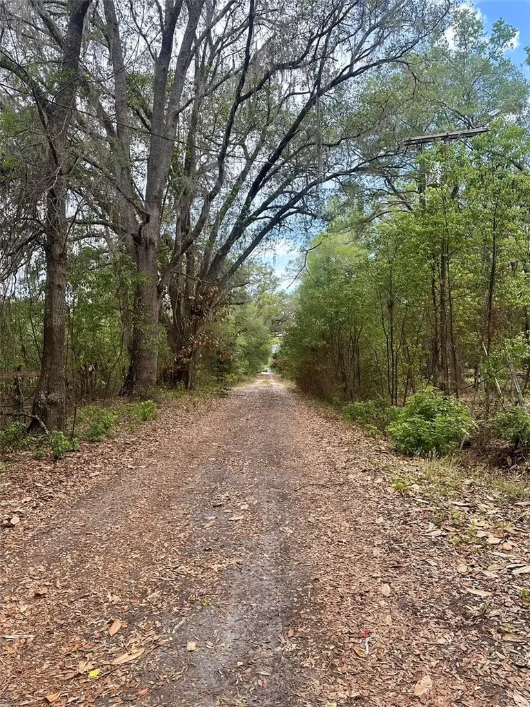 13647 NE 141st Drive Waldo FL 32694