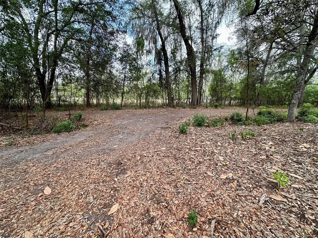 13647 NE 141st Drive Waldo FL 32694