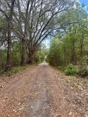 13647 NE 141st Drive Waldo FL 32694