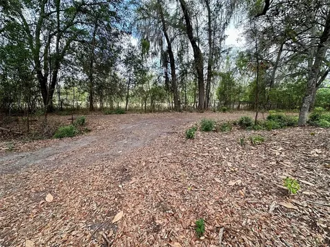 13647 NE 141st Drive Waldo FL 32694